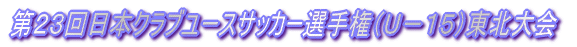 ��Q�R����{�N���u���[�X�i�t�|�P�T�j�T�b�J�[�I�茠���k���