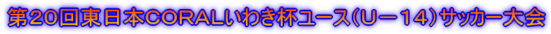 ��Q�O�񓌓��{�b�n�q�`�k���킫�t���[�X�i�t�|�P�S�j�T�b�J�[���