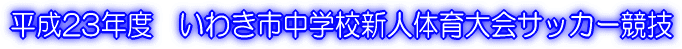 23Nx@킫swZVl̈TbJ[Z
