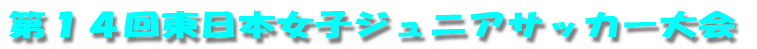 PS񓌓{qWjATbJ[ 